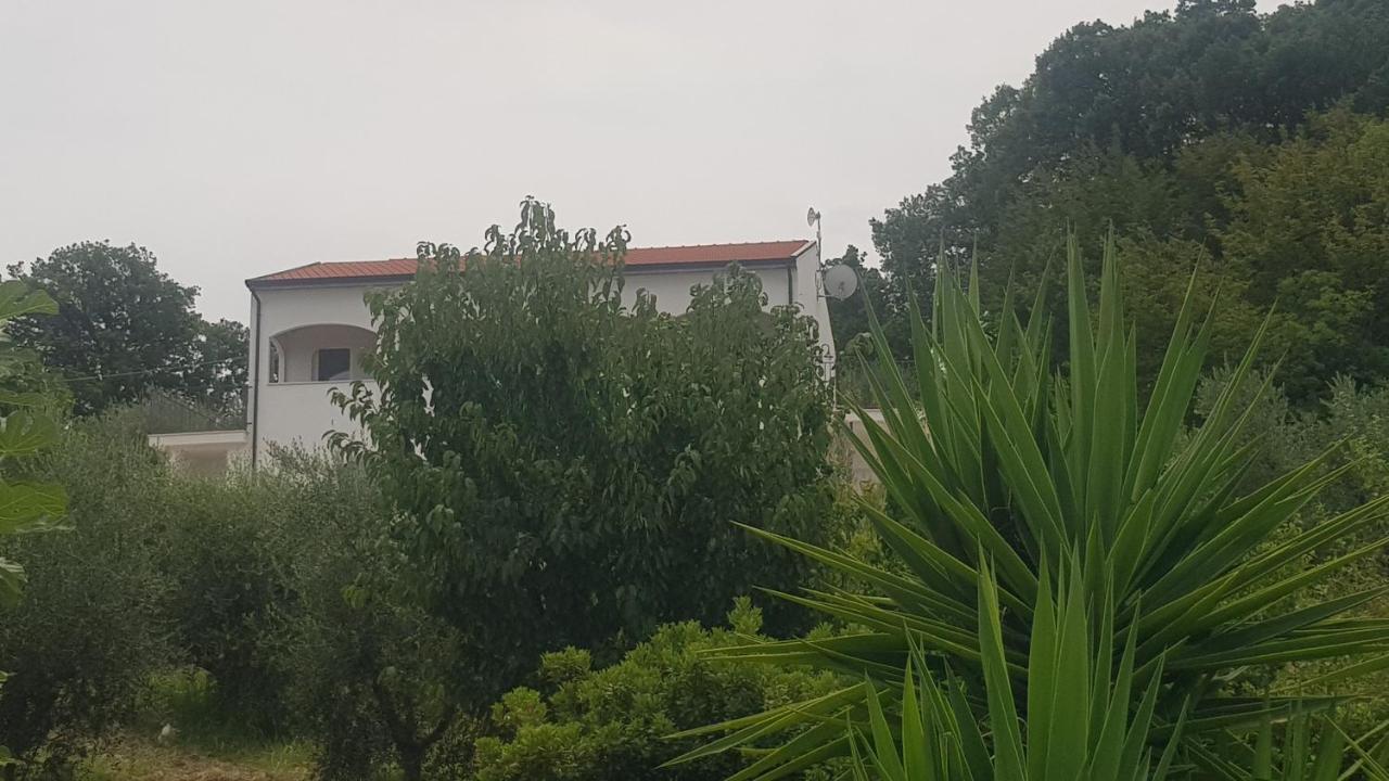 ויקו דל גרגאנו Verde Matematico מראה חיצוני תמונה
